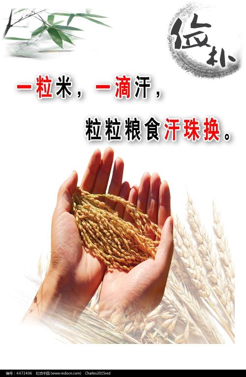 爱荷华州身份证怎么购买
